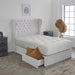 Chesterfield Curved Wing Divan Bed Set Divan Bed Direct