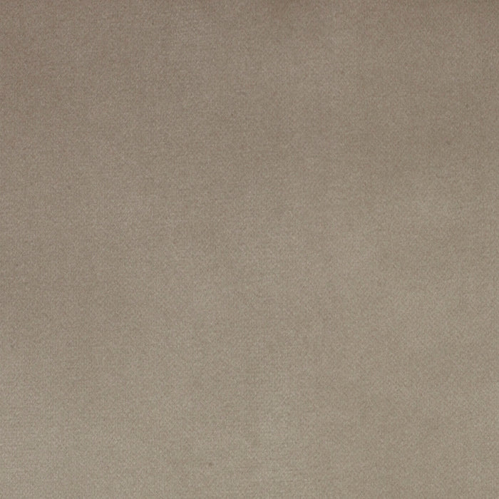 Plush Swatch
