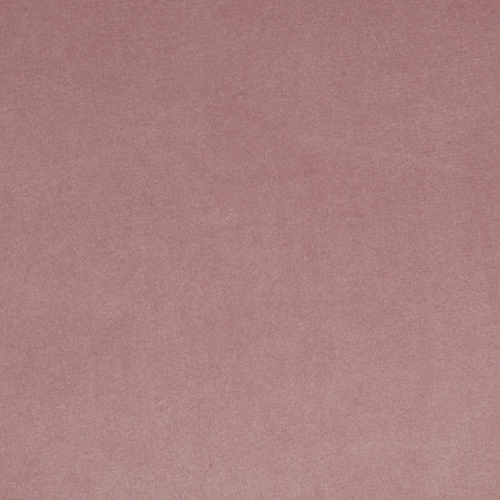 Plush Swatch